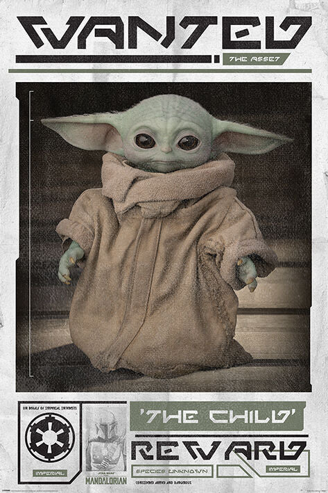 Poster: Mandalorian The Child Wanted | Odin's Place