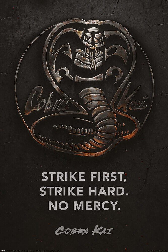 Poster: Cobra Kai Metal | Odin's Place