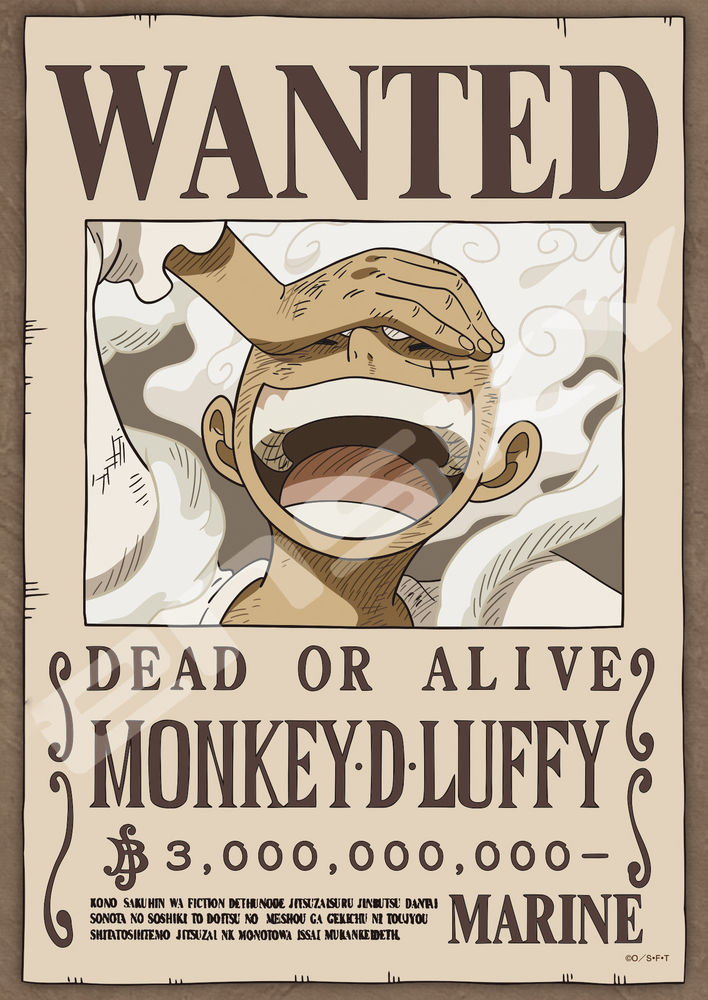 Poster: One Piece Monkey D. Luffy Hand | Odin's Place