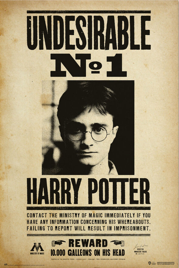 Poster: Harry Potter Wanted | Odin's Place