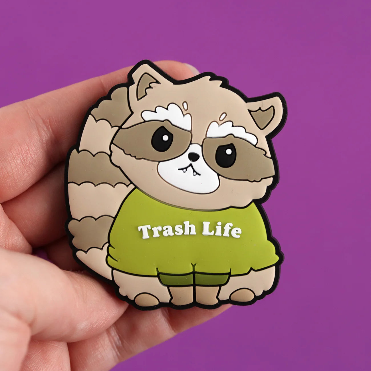 Raccoon Magnet | Odin's Place