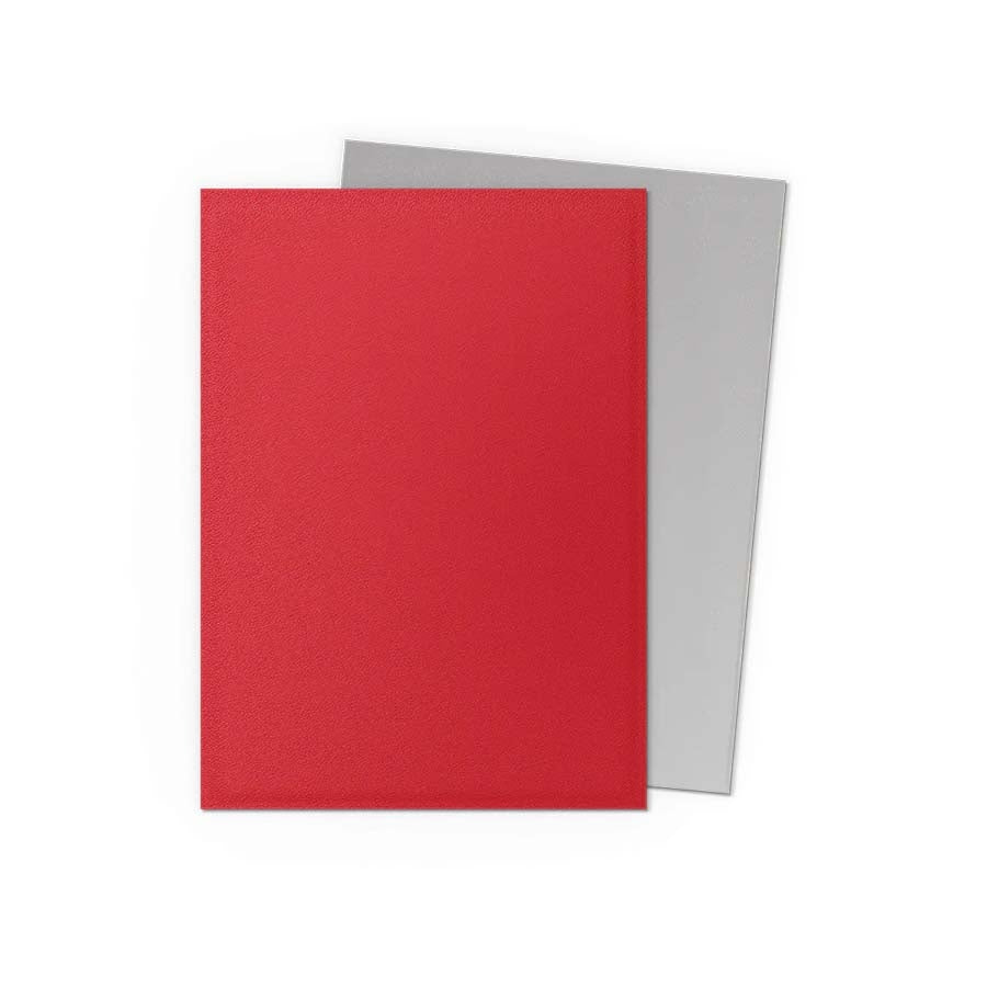 Dragon Shield Dual Sleeves: Matte 100ct | Odin's Place