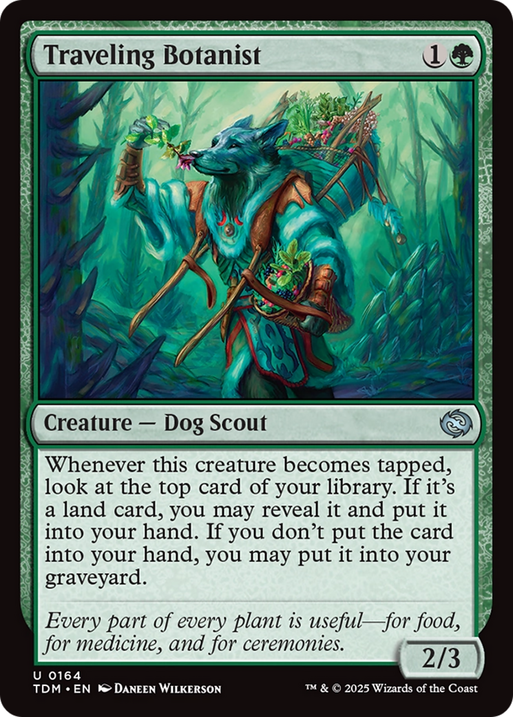 Traveling Botanist [Tarkir: Dragonstorm] | Odin's Place
