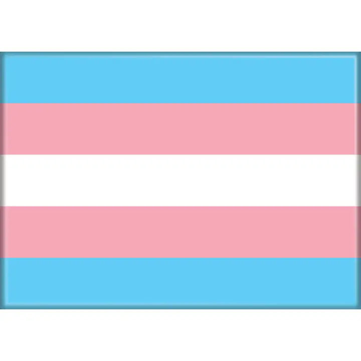 Transgender Flag Magnet | Odin's Place