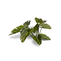 Gamers Grass Laser Plants Assorted Styles | Odin's Place