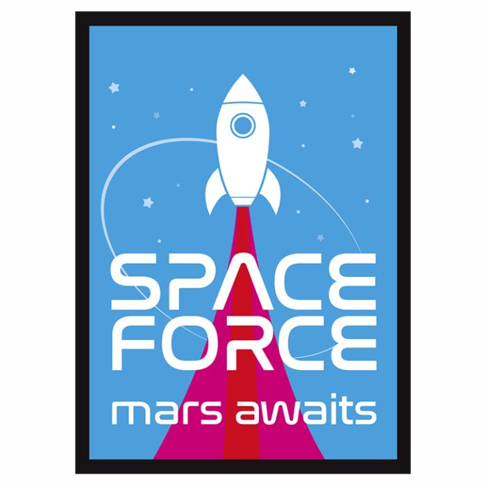 Legion Matte Sleeves: Space Force | Odin's Place