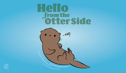 Legion Playmat: Otter | Odin's Place