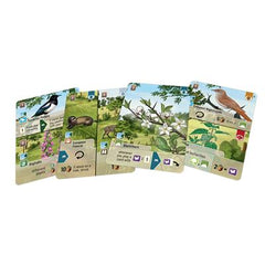 Forest Shuffle Woodland Edge | Odin's Place