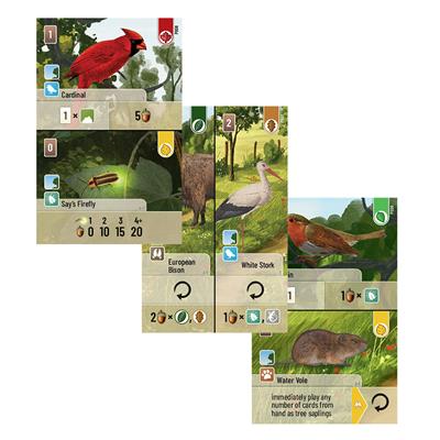Forest Shuffle Exploration | Odin's Place