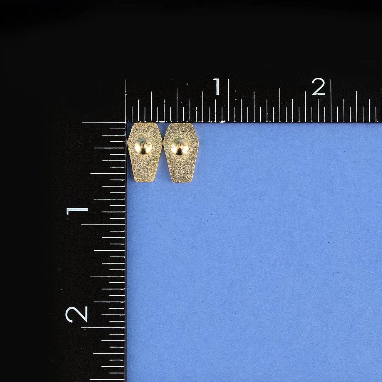 Coffin Earrings | Odin's Place