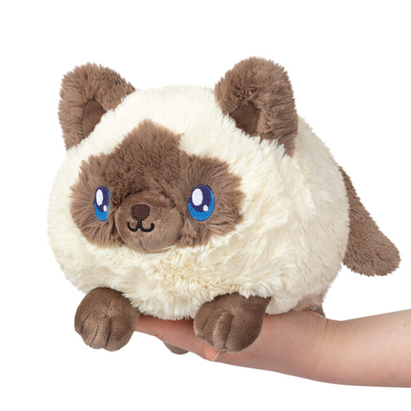 Squishable Mini Colorpoint Kitty | Odin's Place