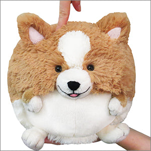 Squishable Mini Corgi | Odin's Place