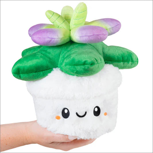 Squishable Mini Succulent | Odin's Place