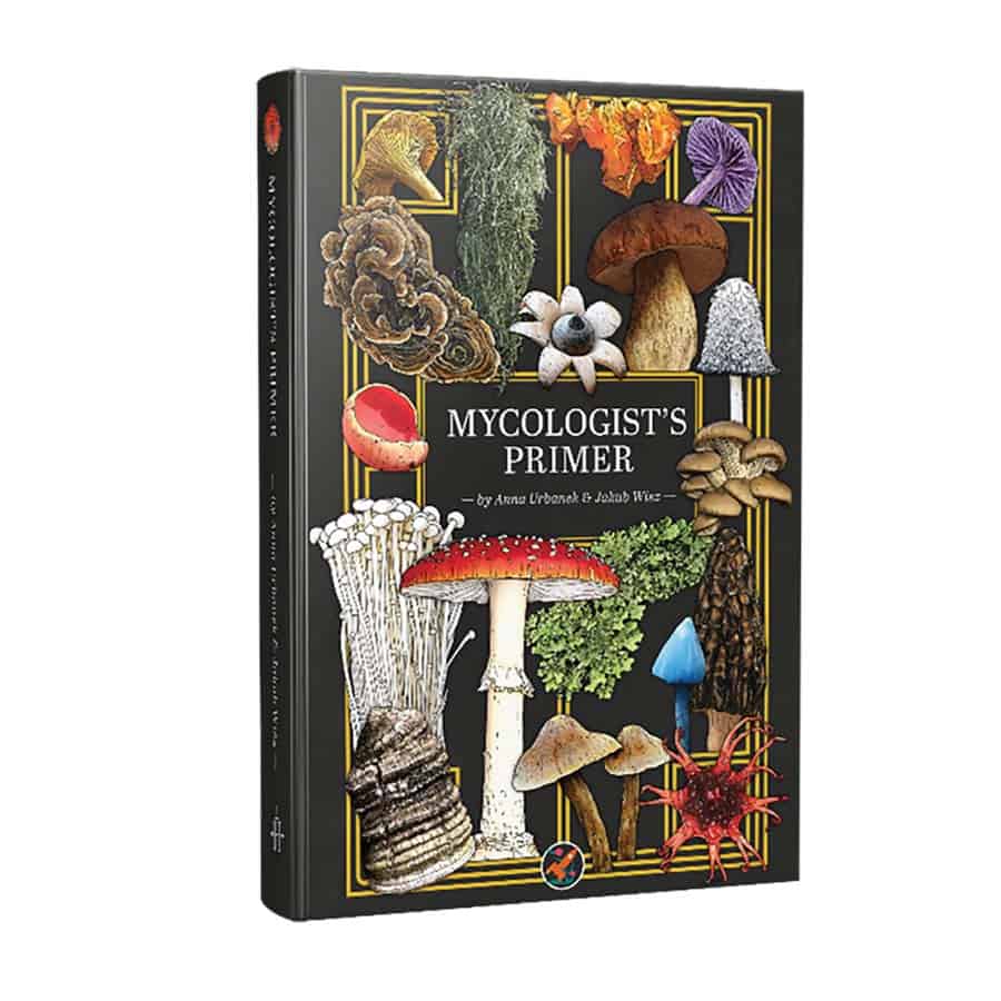 Mycologist's Primer | Odin's Place