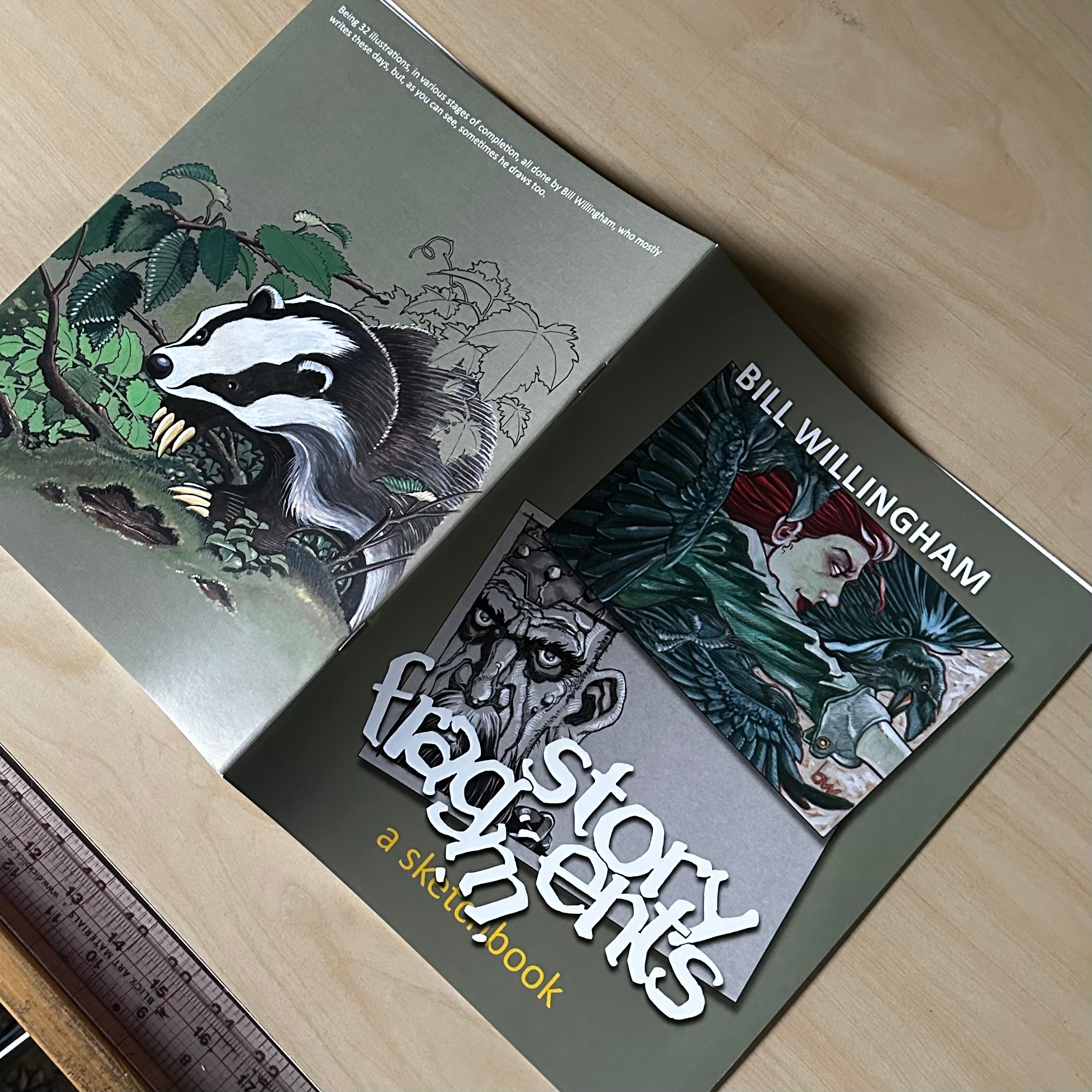 Bill Willingham: Story Fragments a Sketchbook - Signed | Odin's Place