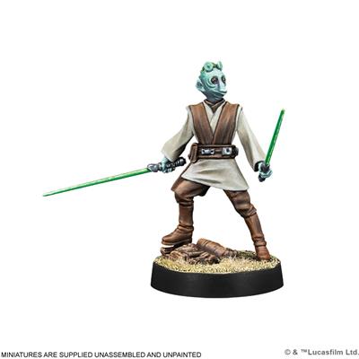 Star Wars Legion:  Customizable Jedi General and Knight | Odin's Place
