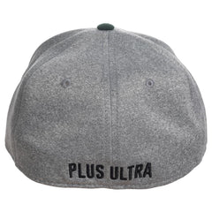 Bioworld My Hero Academia UA Flex Fit Hat | Odin's Place