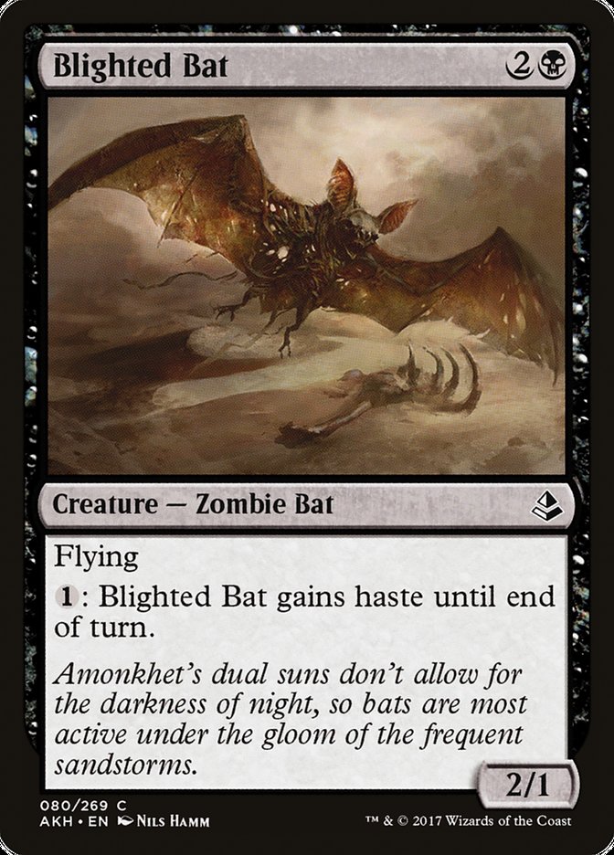 Blighted Bat (80) [Amonkhet] | Odin's Place