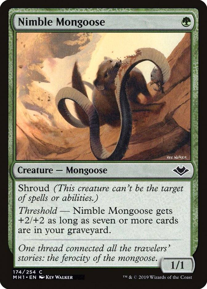 Nimble Mongoose (174) [Modern Horizons] | Odin's Place