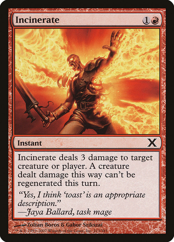 Incinerate (213) [Tenth Edition] | Odin's Place