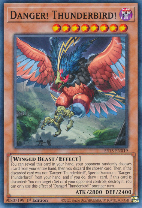 Danger! Thunderbird! [SR13-EN019] Common | Odin's Place