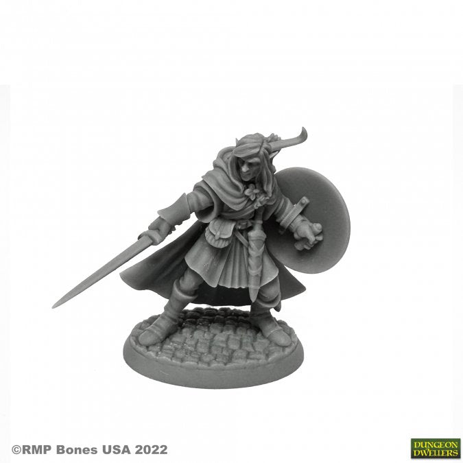 Reaper Bones: Mellonir Windrunner, Elf Warrior | Odin's Place
