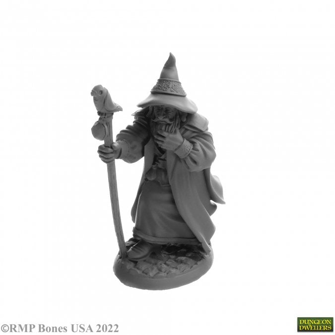 Reaper Bones: Landol Griwsold, Human Wizard | Odin's Place