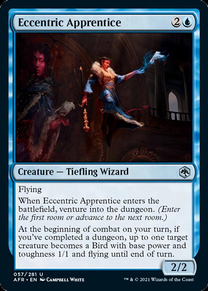Eccentric Apprentice [Dungeons & Dragons: Adventures in the Forgotten Realms] | Odin's Place