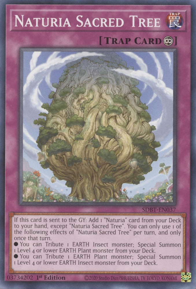 Naturia Sacred Tree [SDBT-EN037] Common | Odin's Place