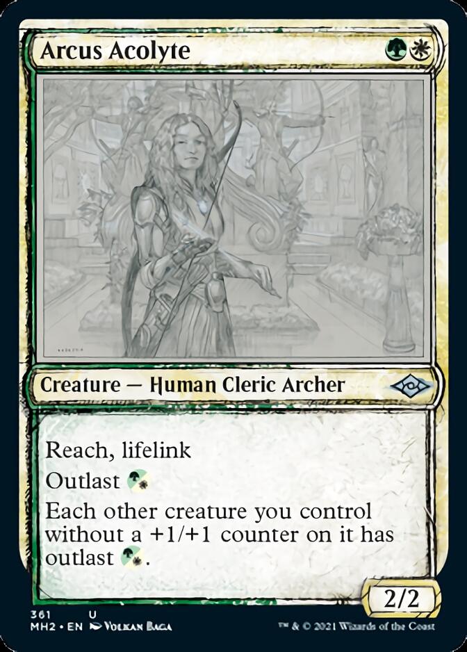 Arcus Acolyte (Sketch) [Modern Horizons 2] | Odin's Place