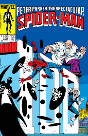 Peter parker Spectacular Spider-Man #100 | Odin's Place