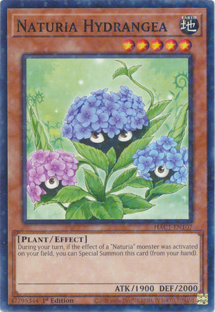 Naturia Hydrangea (Duel Terminal) [HAC1-EN107] Common | Odin's Place