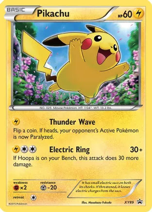 Pikachu Collector's Chest XY89 Promos Holofoil | Odin's Place