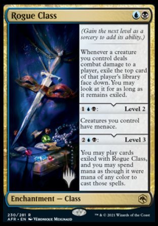 Rogue Class (Promo Pack) [Dungeons & Dragons: Adventures in the Forgotten Realms Promos] | Odin's Place