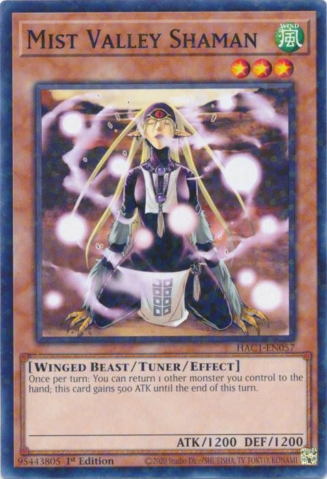 Mist Valley Shaman (Duel Terminal) [HAC1-EN057] Common | Odin's Place
