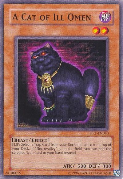A Cat of Ill Omen [DR1-EN018] Common | Odin's Place