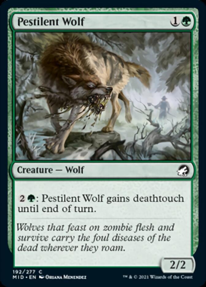 Pestilent Wolf [Innistrad: Midnight Hunt] | Odin's Place