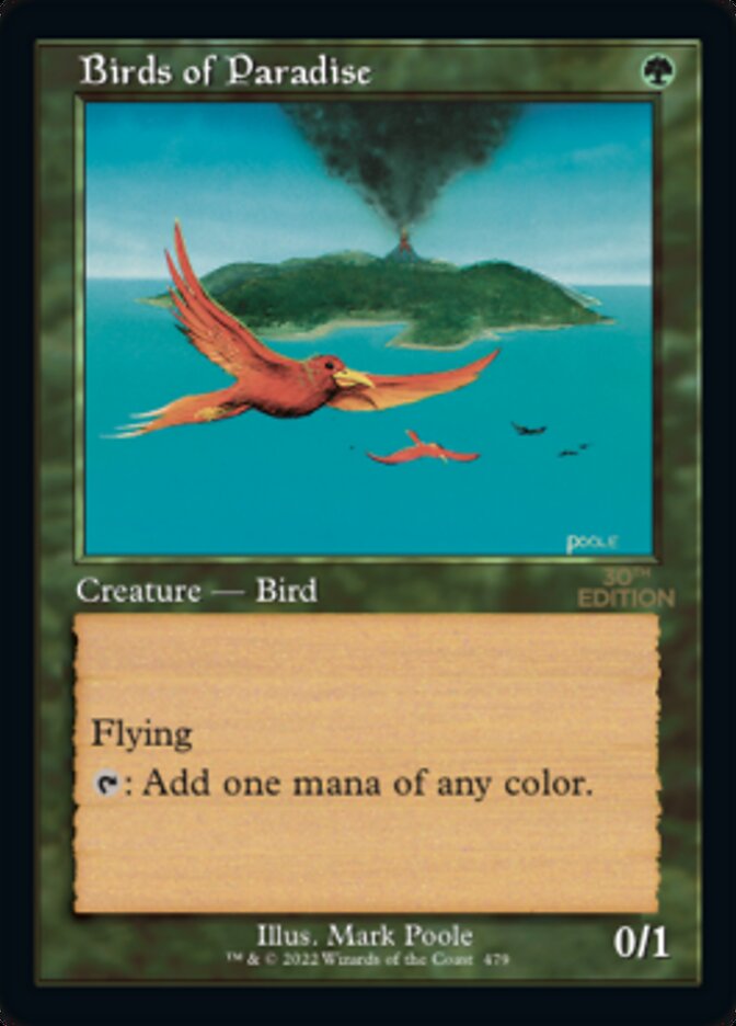 Birds of Paradise (Retro) [30th Anniversary Edition] | Odin's Place