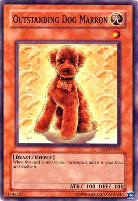 Outstanding Dog Marron [DR1-EN224] Common | Odin's Place