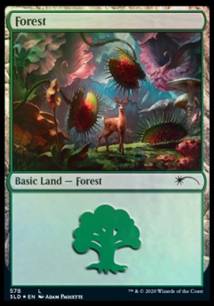Forest (Predatory) (578) [Secret Lair Drop Promos] | Odin's Place