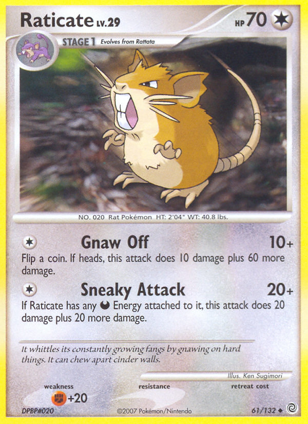 Raticate (61/132) [Diamond & Pearl: Secret Wonders] | Odin's Place