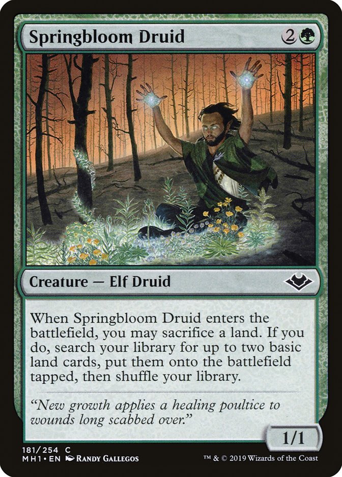 Springbloom Druid (181) [Modern Horizons] | Odin's Place