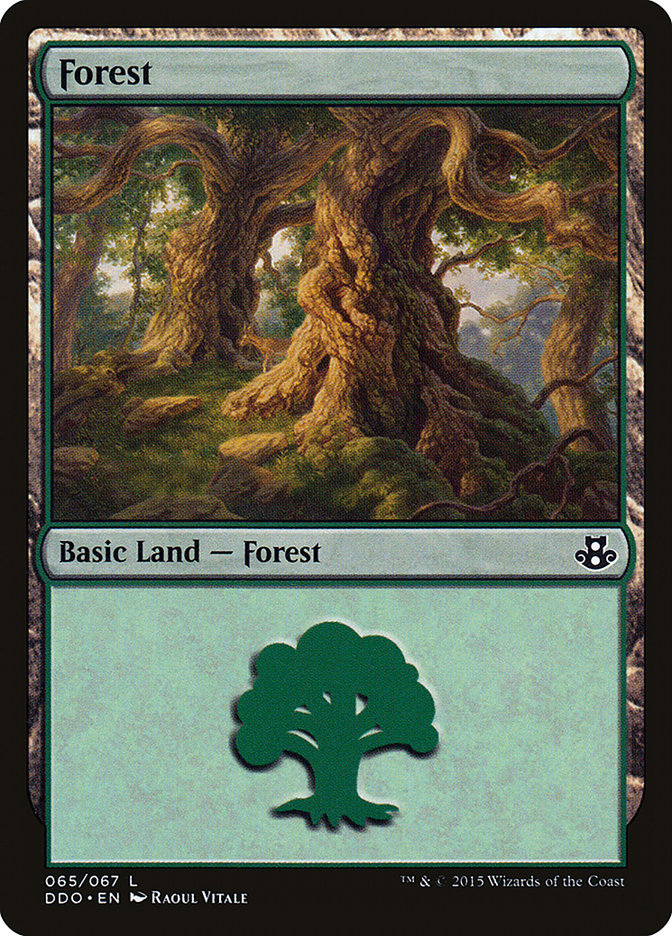 Forest (65) [Duel Decks: Elspeth vs. Kiora] | Odin's Place