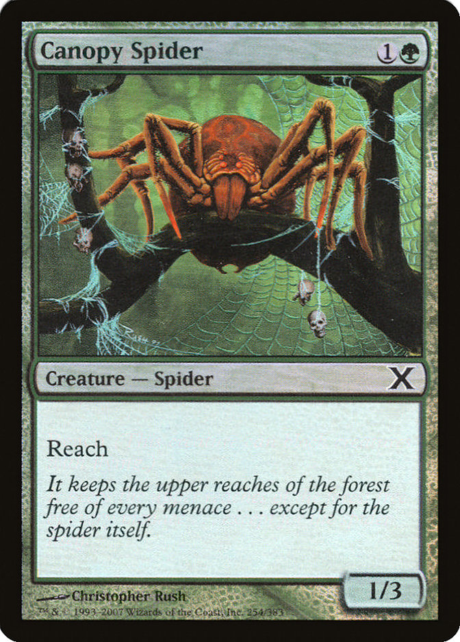 Canopy Spider (Premium Foil) [Tenth Edition] | Odin's Place