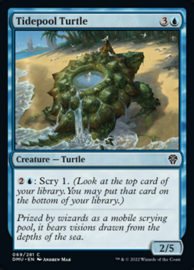 Tidepool Turtle [Dominaria United] | Odin's Place