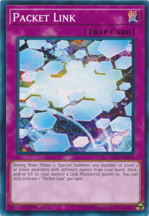 Packet Link [SDPL-EN031] Common | Odin's Place