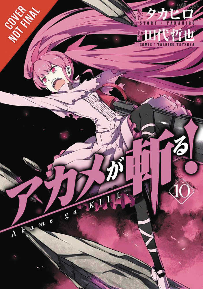 Akame Ga Kill Volume 10 | Odin's Place