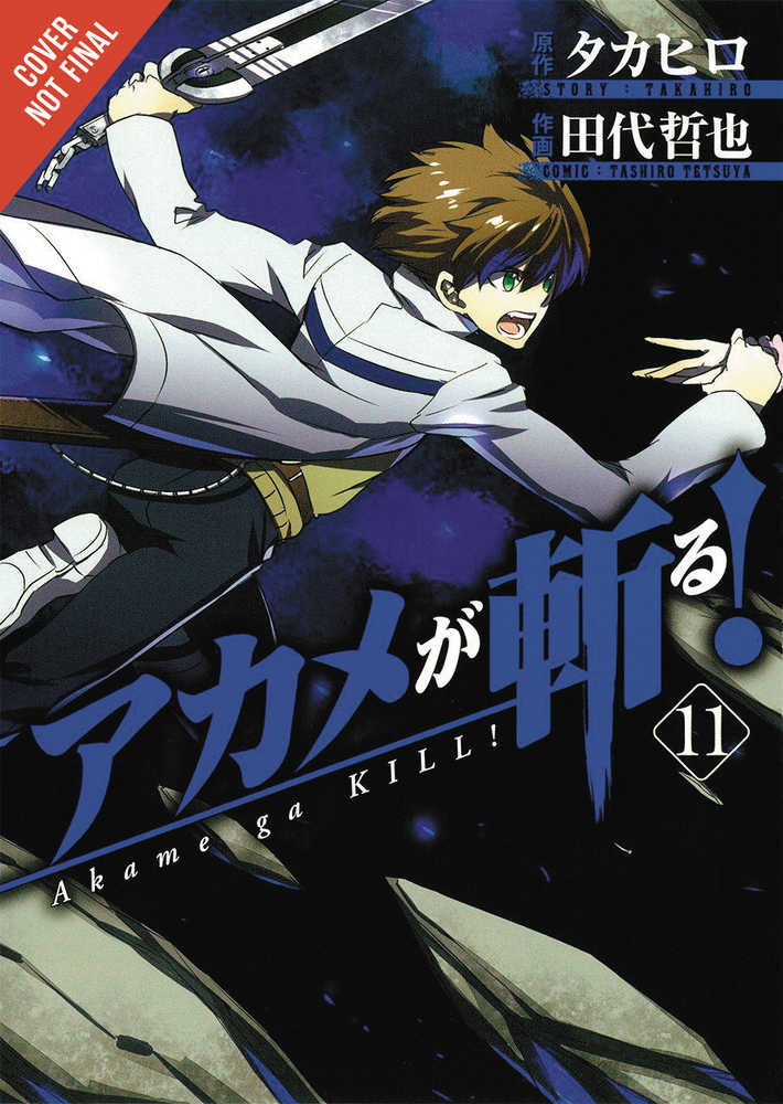 Akame Ga Kill Volume 11 | Odin's Place