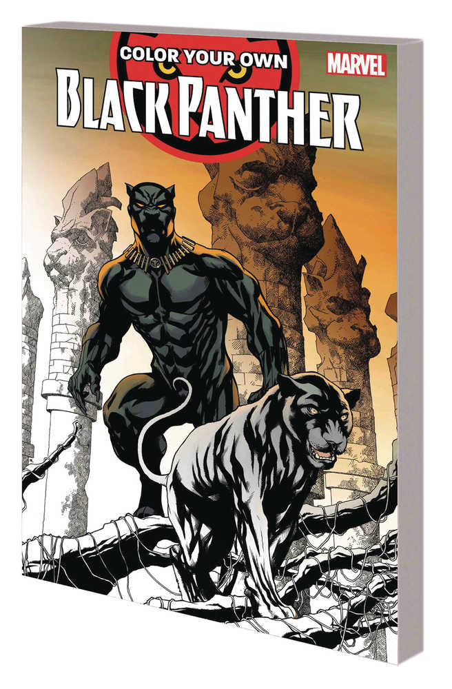 COLOR YOUR OWN BLACK PANTHER TP | Odin's Place