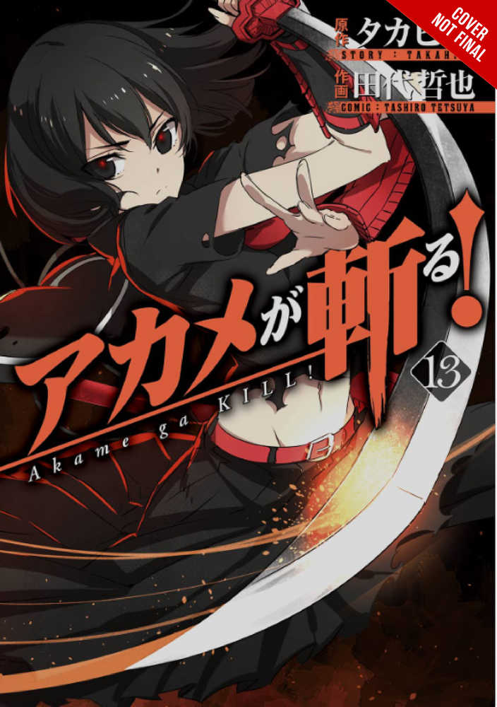 Akame Ga Kill Volume 13 | Odin's Place